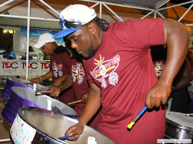 Diatonic Steel In Motion 2013