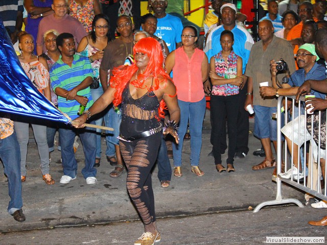 Diatonic Steel In Motion 2013