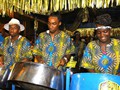 Diatonic Steel In Motion 2013