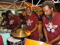 Diatonic Steel In Motion 2013